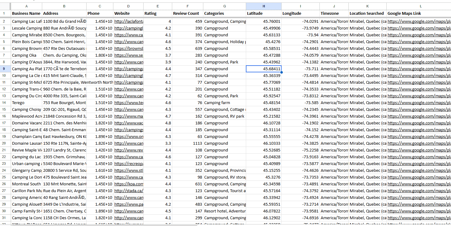 Google Maps Scraper Sample CSV - Local Business Data