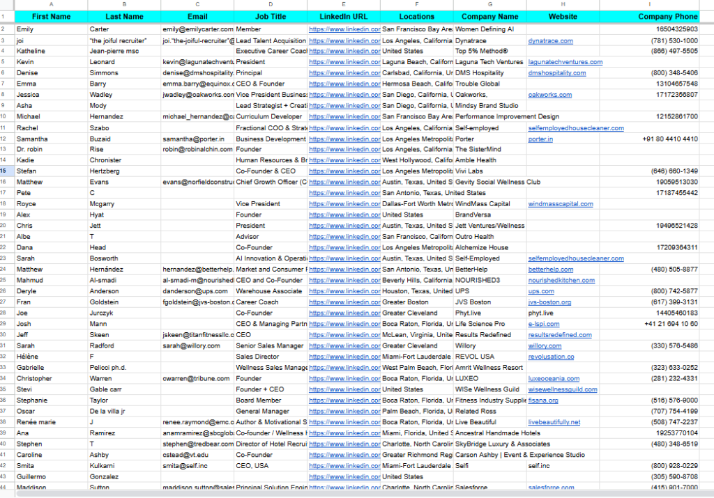 Sales Navigator Scraper Data Sample
